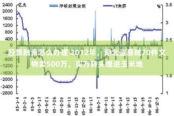 股票融资怎么办理 2012年，湖北盗墓贼70件文物卖500万，买方转头埋进玉米地