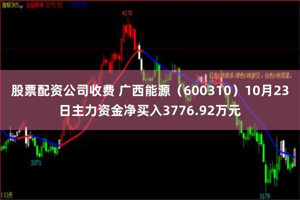 股票配资公司收费 广西能源（600310）10月23日主力资金净买入3776.92万元