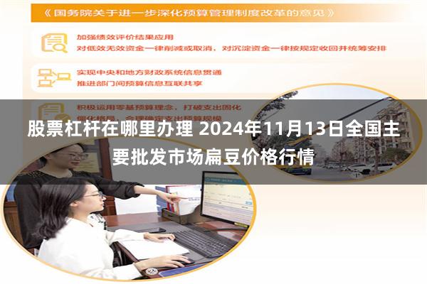 股票杠杆在哪里办理 2024年11月13日全国主要批发市场扁豆价格行情