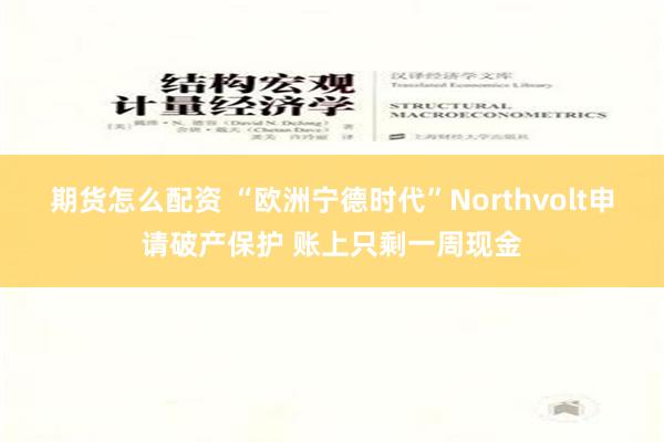 期货怎么配资 “欧洲宁德时代”Northvolt申请破产保护 账上只剩一周现金