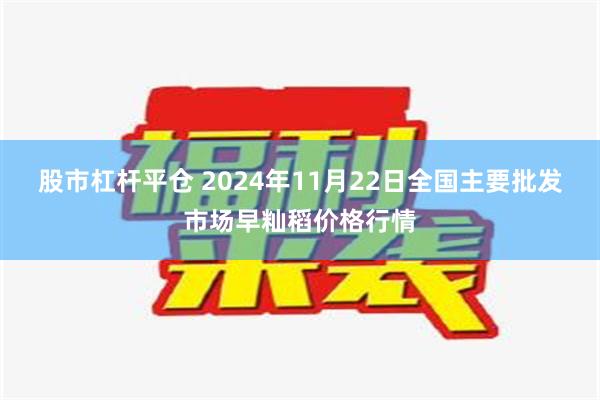 股市杠杆平仓 2024年11月22日全国主要批发市场早籼稻价格行情