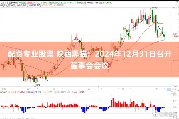 配资专业股票 陕西黑猫：2024年12月31日召开董事会会议