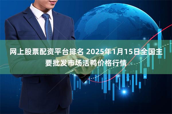 网上股票配资平台排名 2025年1月15日全国主要批发市场活鸭价格行情