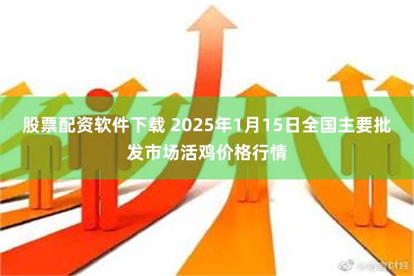 股票配资软件下载 2025年1月15日全国主要批发市场活鸡价格行情